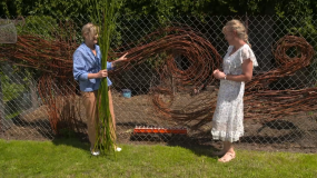 "Nowa Maja w ogrodzie":  jak ozdobić siatkę za pomocą wierzbowych witek?